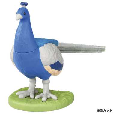 アニア　ＡＳ－１６　クジャク（インドクジャク）