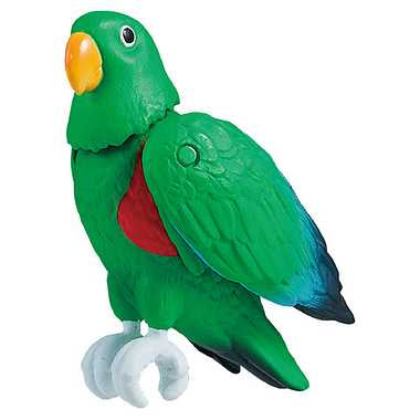 冒険大陸　アニアキングダム　エディ（オオハナインコ）