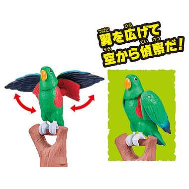 冒険大陸　アニアキングダム　エディ（オオハナインコ）