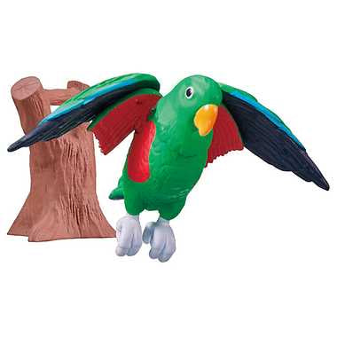 冒険大陸　アニアキングダム　エディ（オオハナインコ）