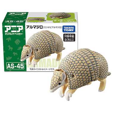 アニア　ＡＳ－４５　アルマジロ（ミツオビアルマジロ）
