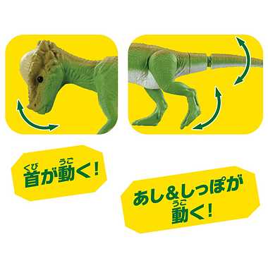 アニア　ＡＬ－２２　パキケファロサウルス