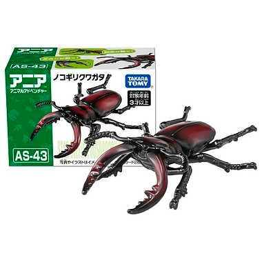 アニア　ＡＳ－４３　ノコギリクワガタ