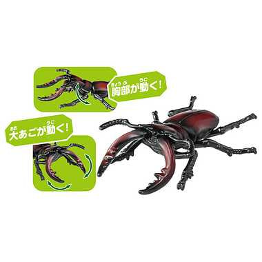 アニア　ＡＳ－４３　ノコギリクワガタ