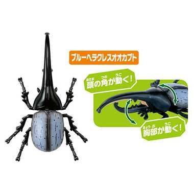 アニア　ＡＡ－０５　世界の昆虫王者セット