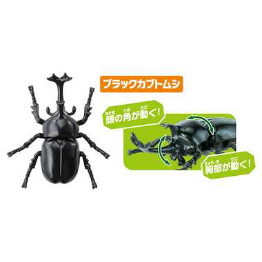 アニア　ＡＡ－０５　世界の昆虫王者セット