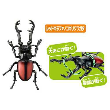 アニア　ＡＡ－０５　世界の昆虫王者セット