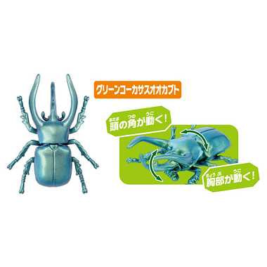 アニア　ＡＡ－０５　世界の昆虫王者セット