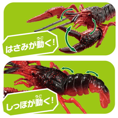 アニア　ＡＬ－３１　アメリカザリガニ