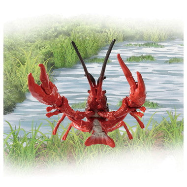 アニア　ＡＬ－３１　アメリカザリガニ