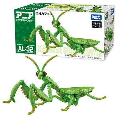 アニア　ＡＬ－３２　オオカマキリ