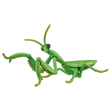 アニア　ＡＬ－３２　オオカマキリ