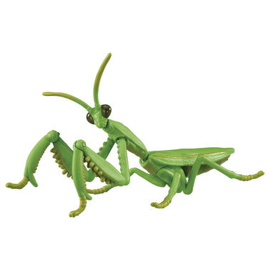 アニア　ＡＬ－３２　オオカマキリ