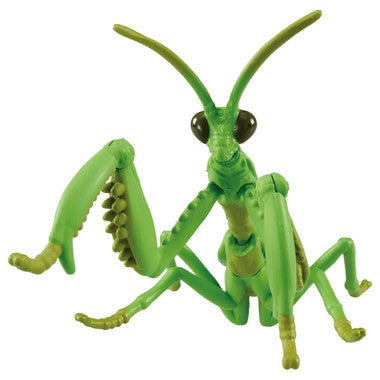 アニア　ＡＬ－３２　オオカマキリ