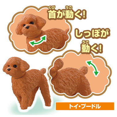 アニア　わんにゃんにぎやかセット