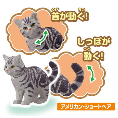 アニア　わんにゃんにぎやかセット