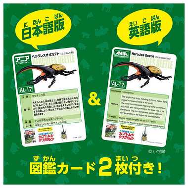 アニア　ＡＬ－１７　ヘラクレスオオカブト