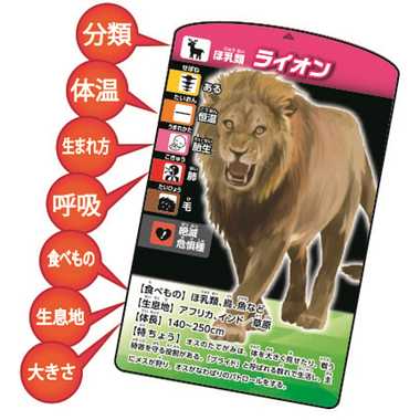考える生きもの分類カードゲーム