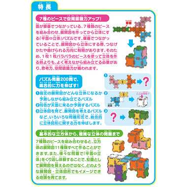 TP-10 展開図パズル