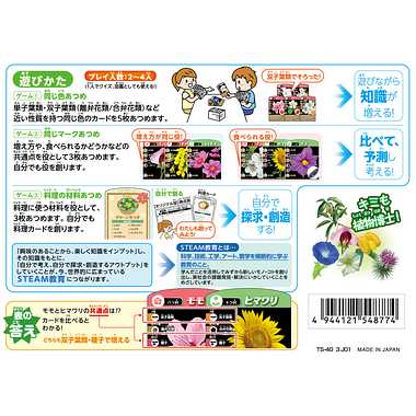 TS-40 考える植物分類カードゲーム
