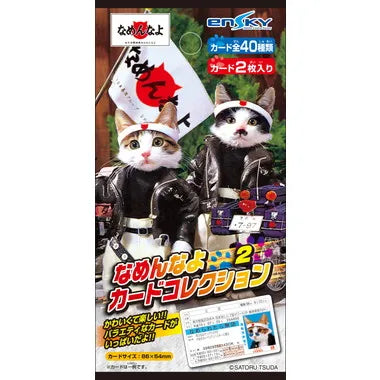 なめんなよカードコレクション２　なめんなよ