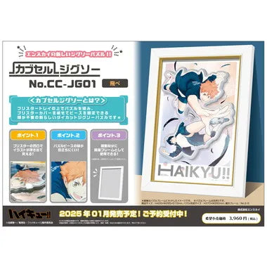 CC-JG01 飛べ