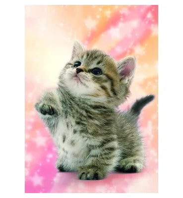 04-530 なにかニャ？