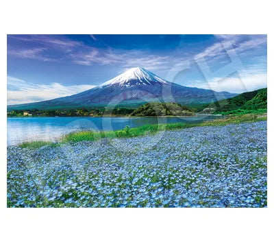 09-040s ネモフィラ咲く富士ｰ山梨