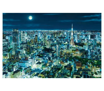 12-514ｓ 煌めく東京の夜-東京