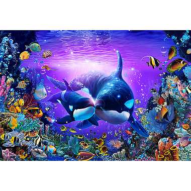 03-947 ブリリアントパッセージⅡ