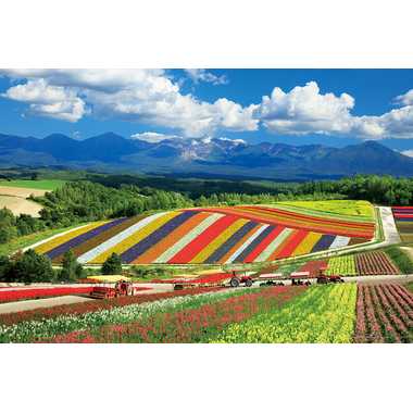 10-1422 四季彩の丘と十勝岳連峰（北海道）