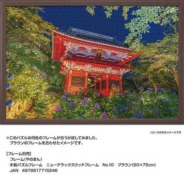10-1484 夜の紫陽花と雨引観音仁王門（茨城）