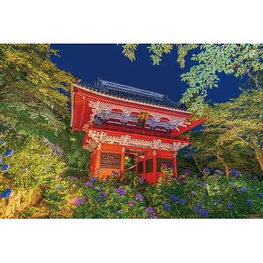 10-1484 夜の紫陽花と雨引観音仁王門（茨城）