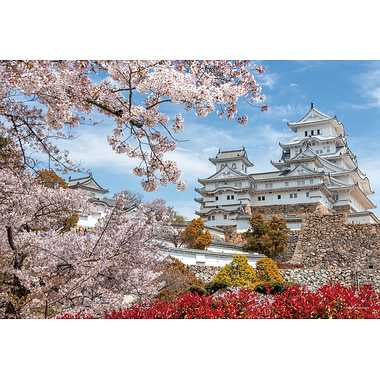 13-08 桜時の姫路城 兵庫
