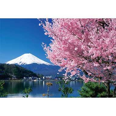 01-2068 桜と富士（山梨）