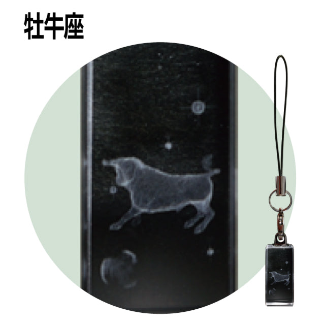 12星座3Dクリスタルストラップ