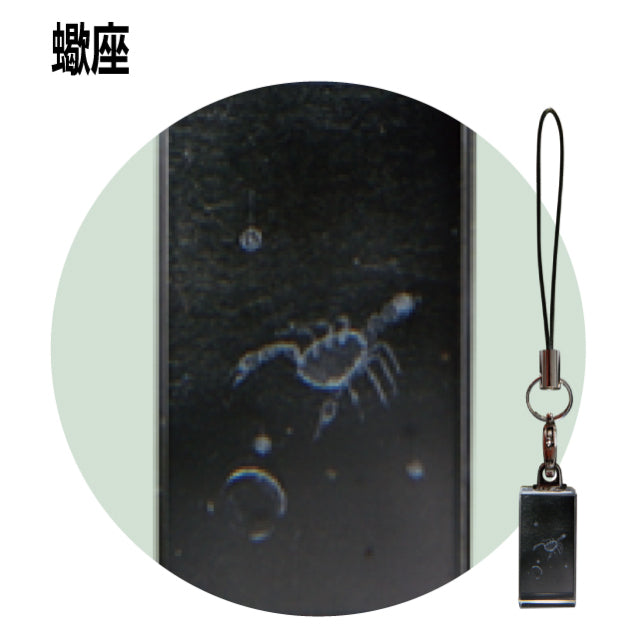 12星座3Dクリスタルストラップ