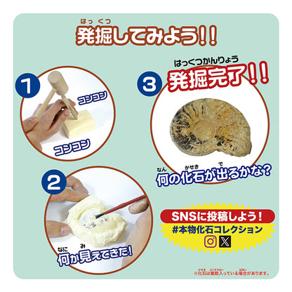 触れる図鑑シリーズ [宝石発掘]