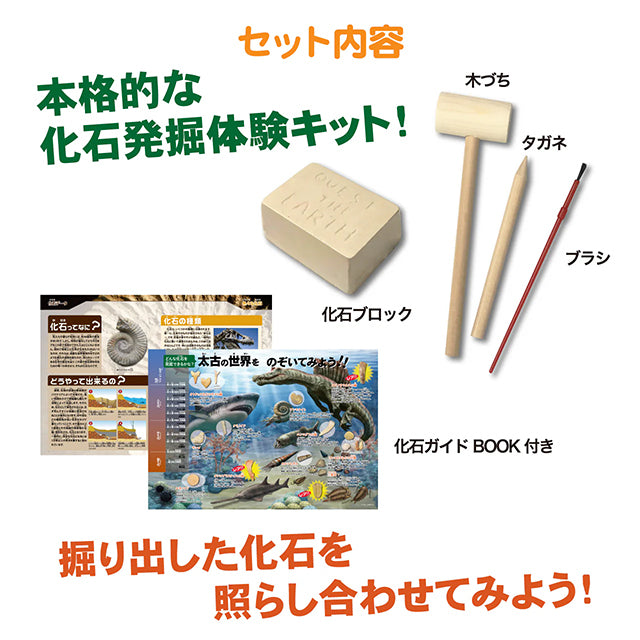 触れる図鑑シリーズ [宝石発掘]